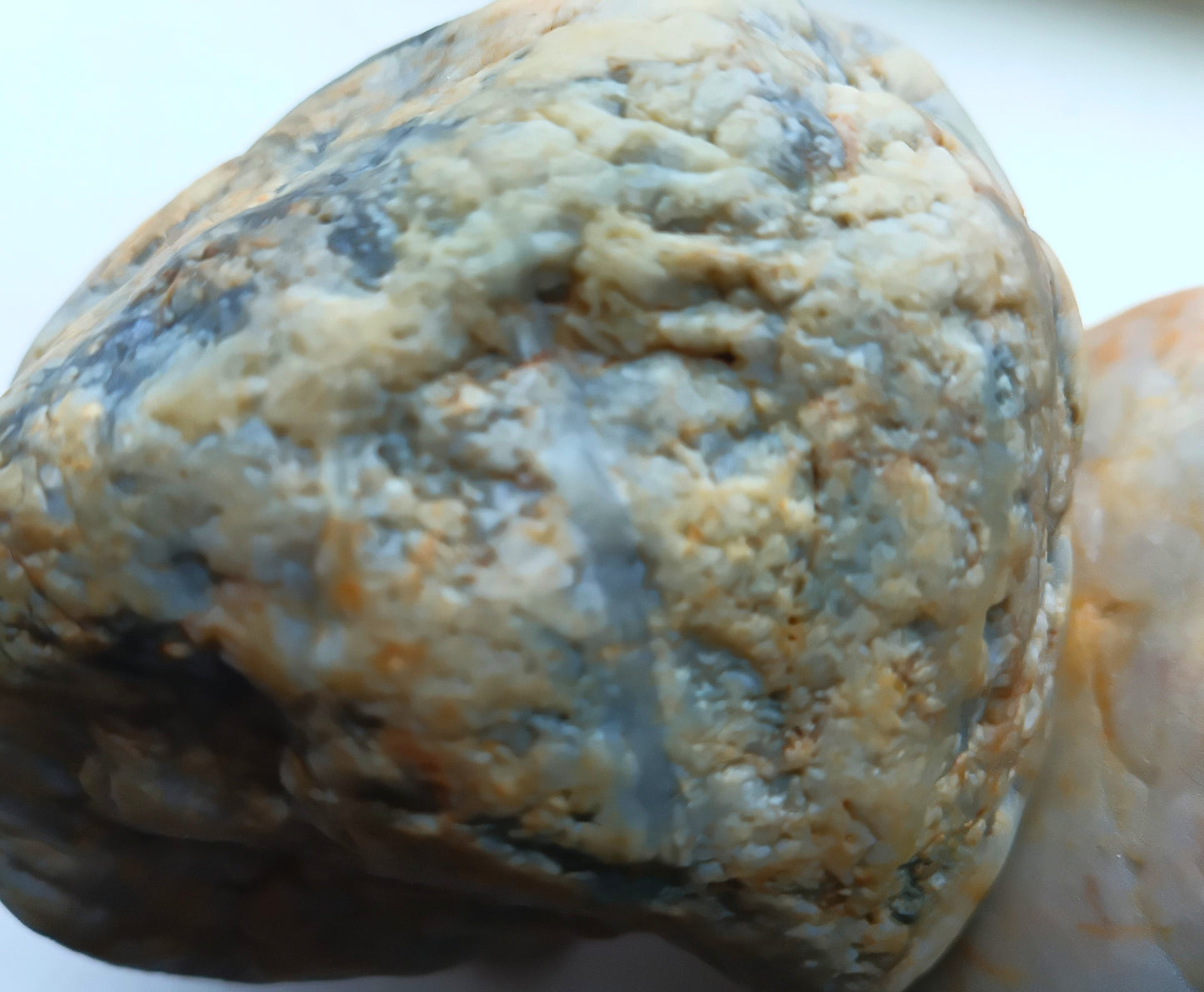 Blueberry Muffin