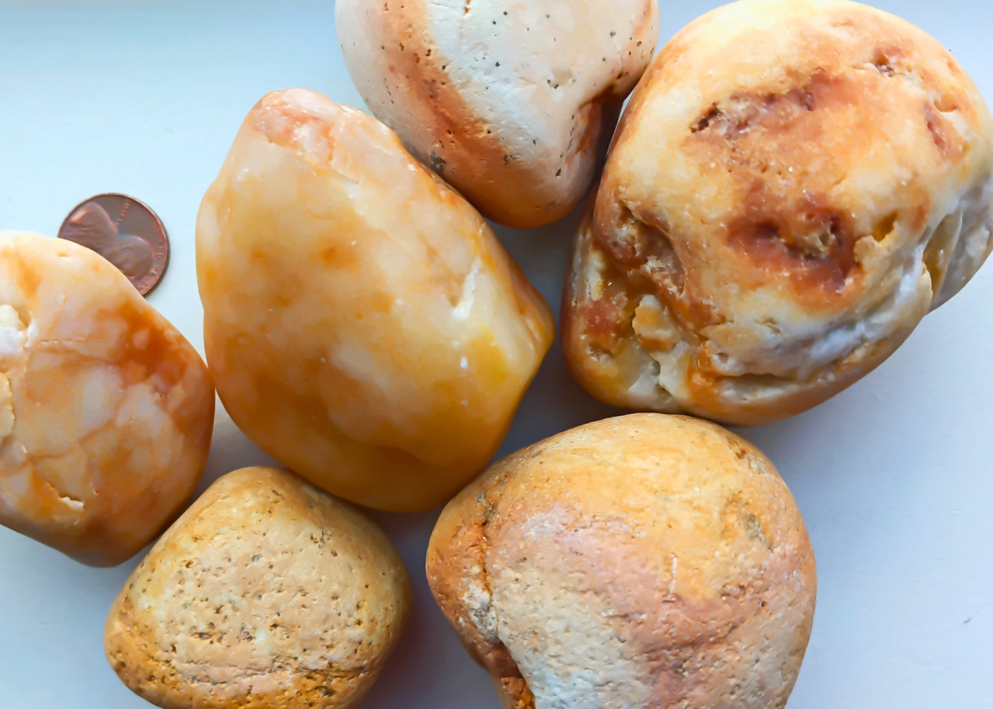 Our Daily Bread