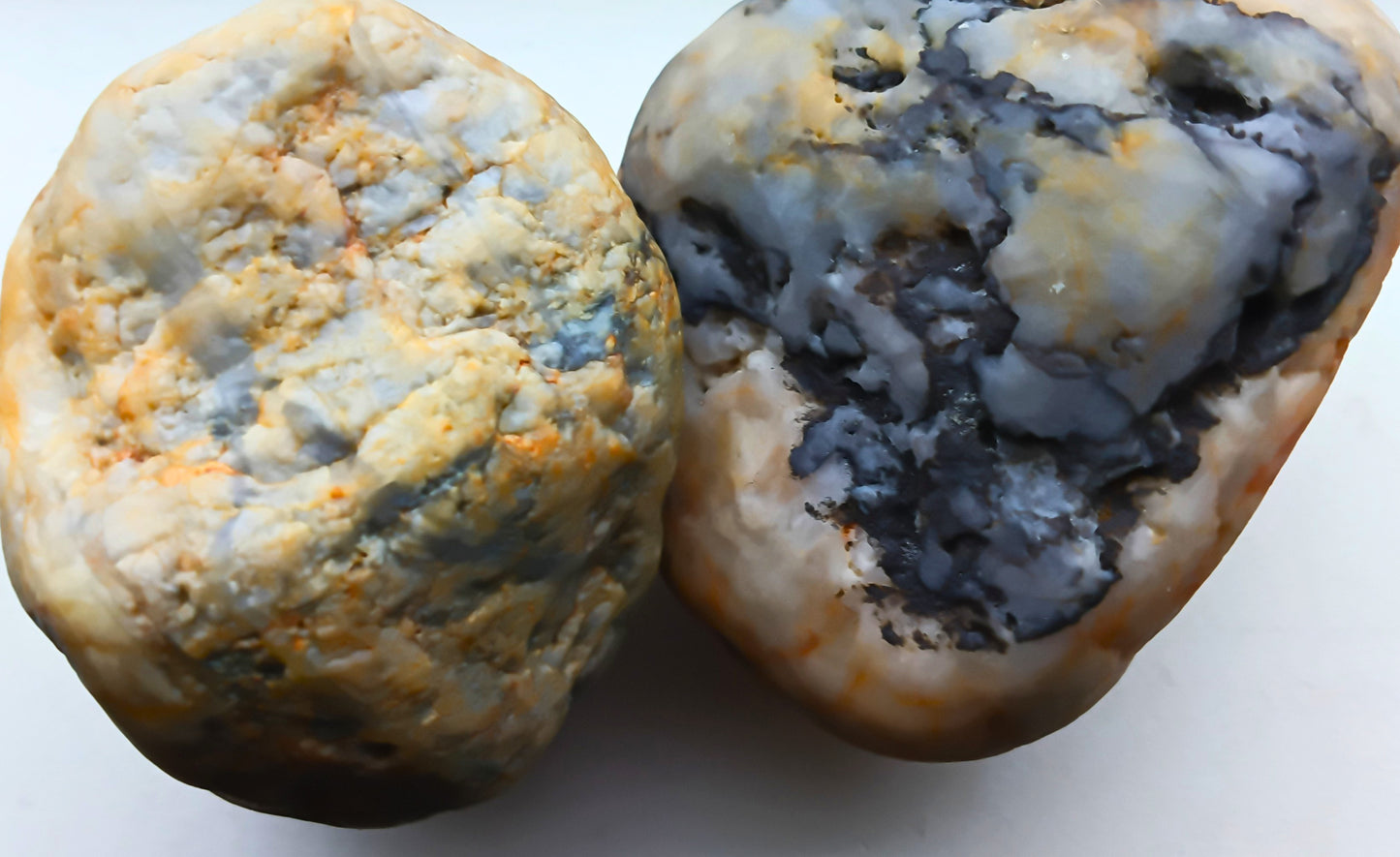 Blueberry Muffin