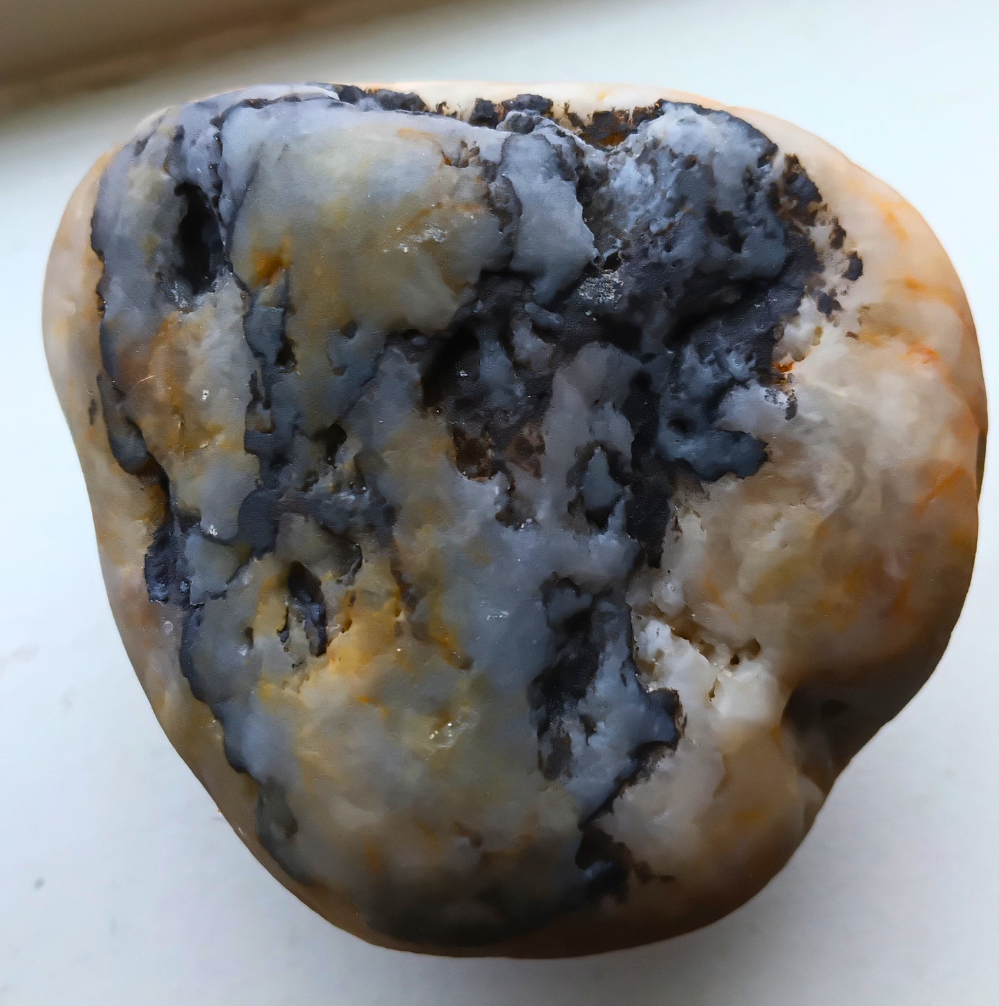 Blueberry Muffin