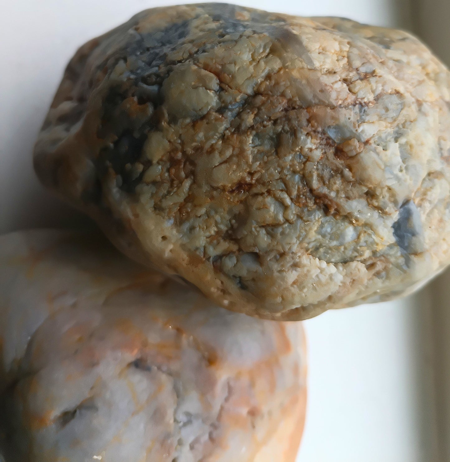 Blueberry Muffin