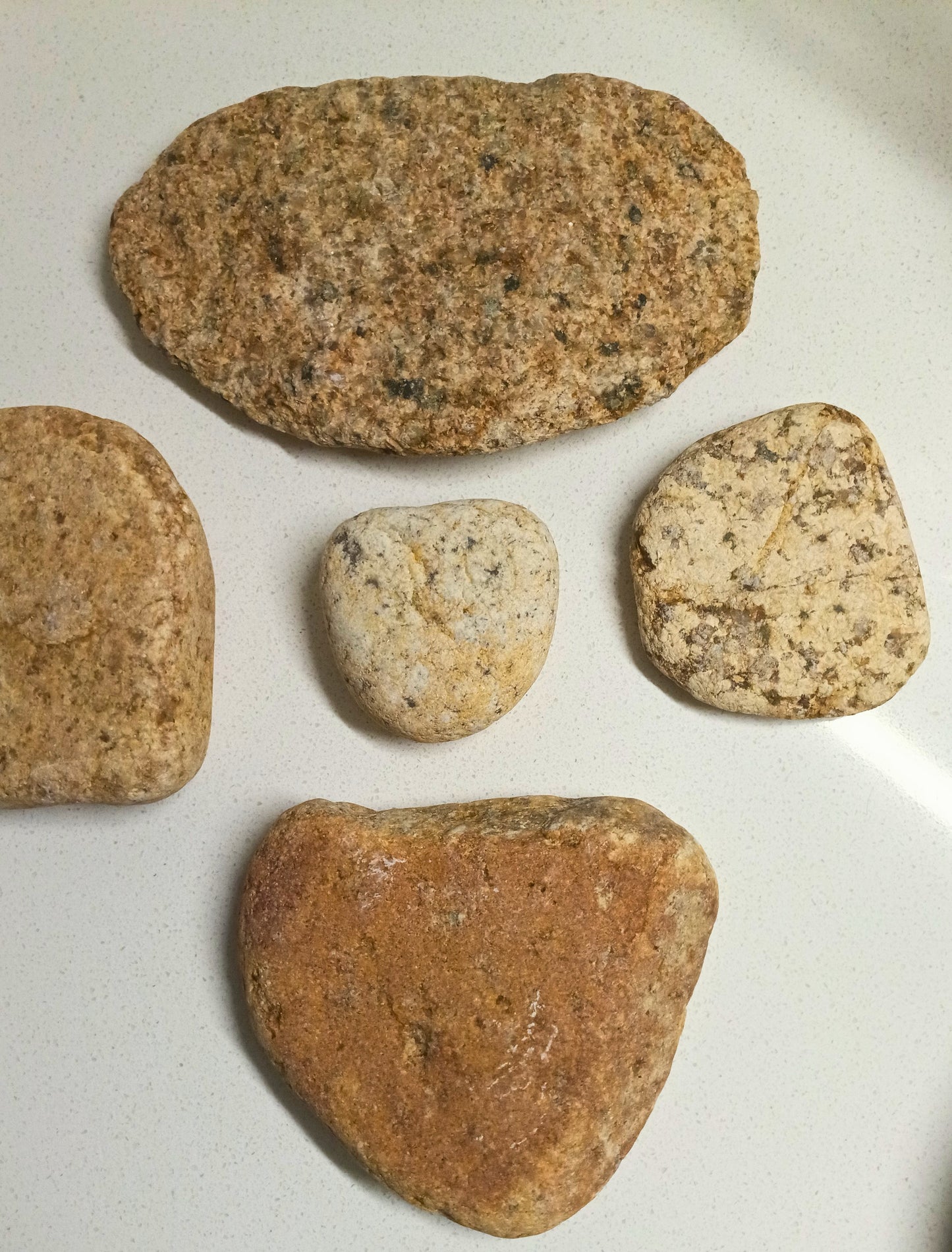 Milk & Cookies